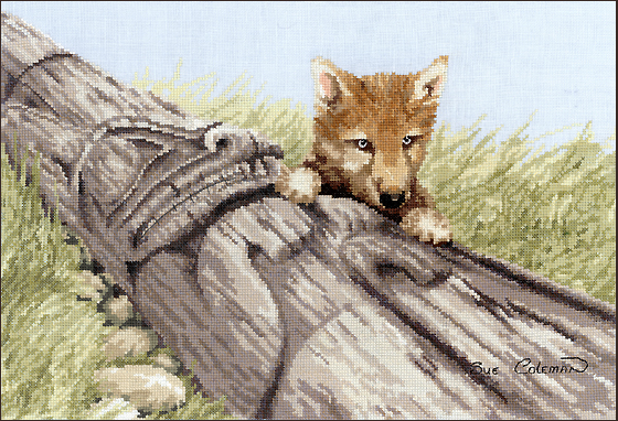 Wolf Pup Wolf Pup
